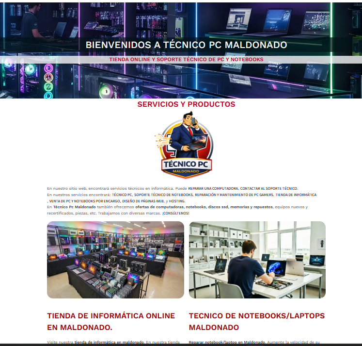 tecnico pc maldonado web